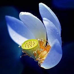 粉丝发现《荒野大镖客2》惊人细节 男主眼睛在晚上反射火光